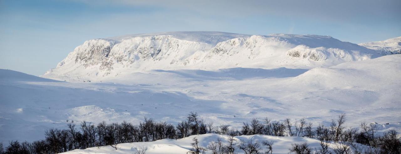Kikut Alpin Lodge Ski In - Ski Out Geilo Exterior foto